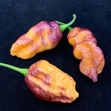 Pink Tiger x Peach Bhut - Seeds - The Pepper Pantry (Formerly Marie Sharp's)